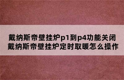 戴纳斯帝壁挂炉p1到p4功能关闭 戴纳斯帝壁挂炉定时取暖怎么操作